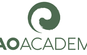 tao-academy-clr